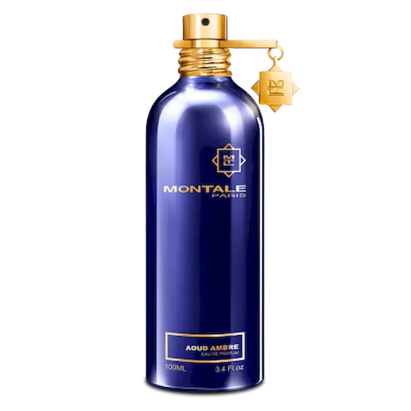 Montale Aoud ambre 100_результат