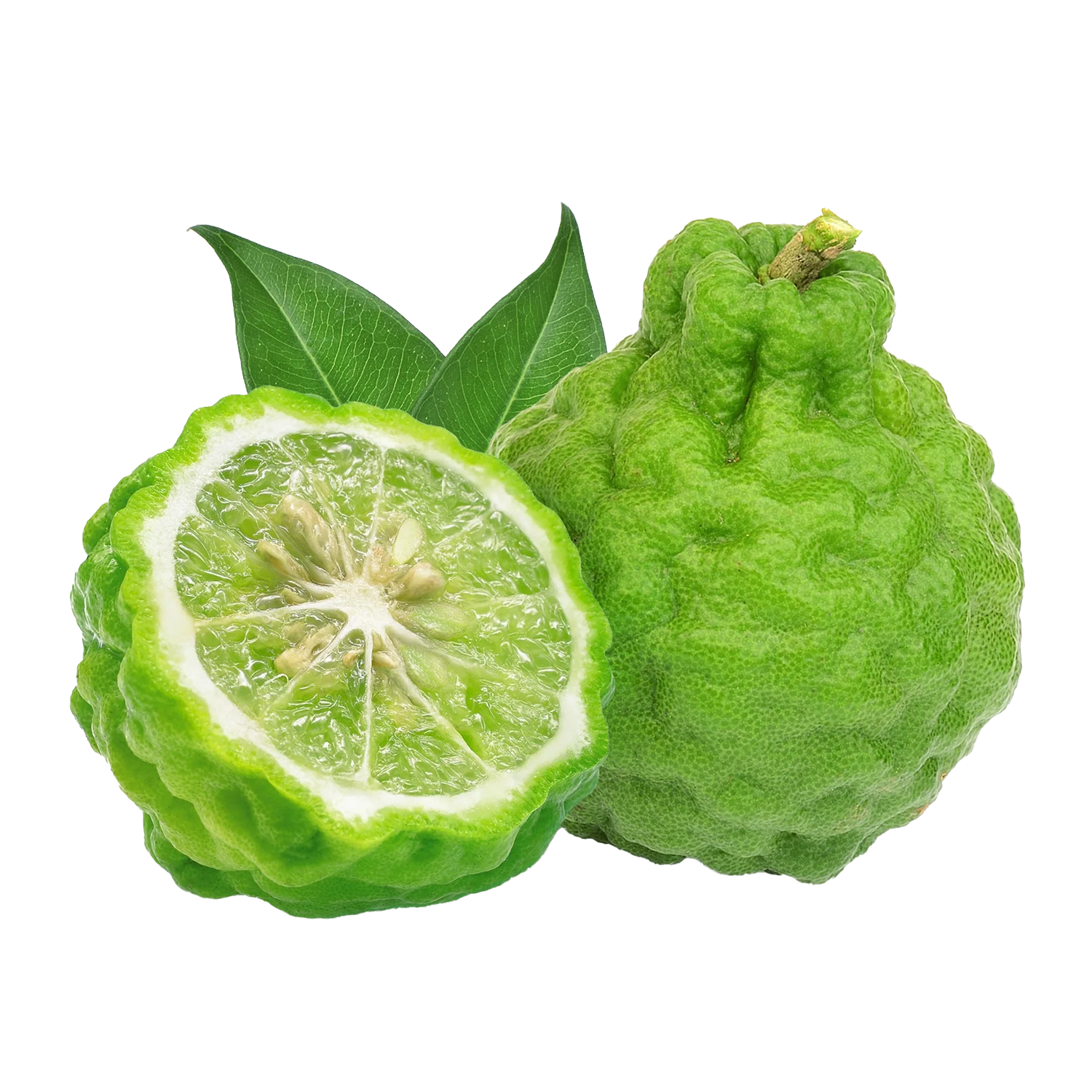 Бергамот